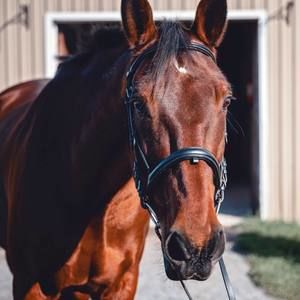 Meet your Posher, Jane